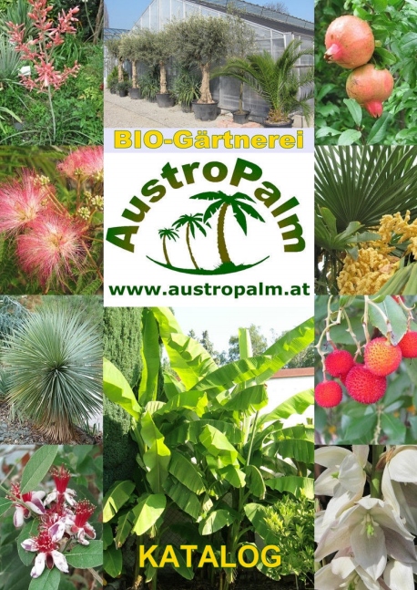 AustroPalm Katalog 2023